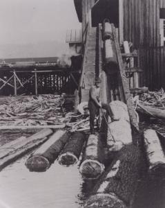 /images/3/Jack.jpg - 9407 Bytes  Jack ladder