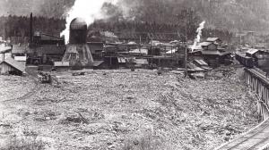 /images/3/trestle.view.jpg - 11645 Bytes